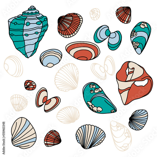 Vector illustration set: different blue , yellow, and orange hand-drawn seashells. The concept of summer time and nautical mood.