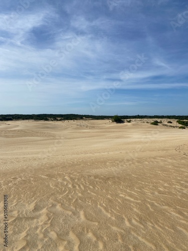 DUNAS