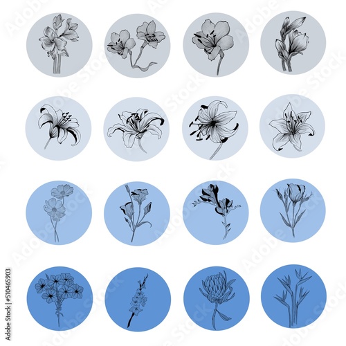 big set of flowers. Hand-drawn. design greeting card and invitation of the we...