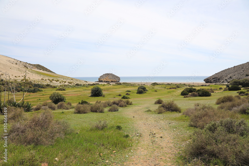 Fototapeta premium almería playa monsul primavera 4M0A4071-as22