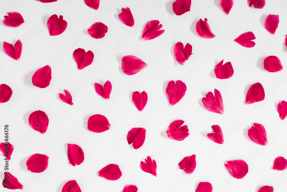 Red flower petals hearts on white background. Floral pattern. Romantic floral composition.