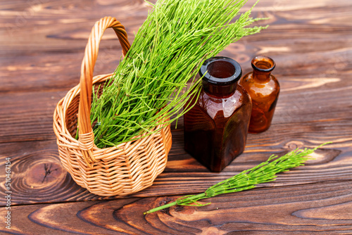 Equisetum, horsetail, snake grass, oil for cosmetology. puzzlegrass, candock extract for alternative medicine used diuretic for edema, tonic, wound healing. help with heart failure. photo