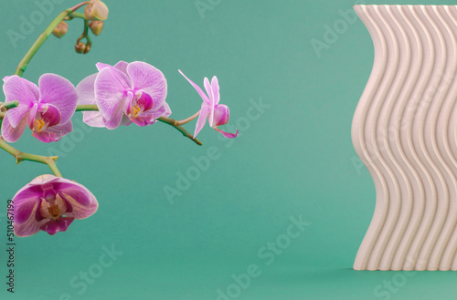 Green background for advertising products with orchid flowers and geometric shapes