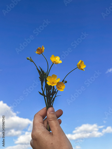 Hand holding beautiful yellow spring flowers against sunny blue sky. Hello spring. Blue and yellow colors, ukrainian flag. Vertical phone photo