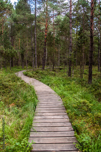 Wooden walkway through water and swamps in South Bohemia in the Borkovice area