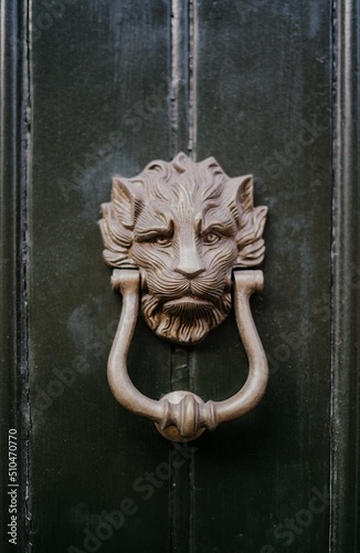 Doors of Dublin
