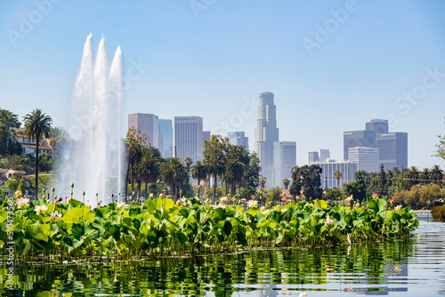 Sunny view of the Los Angeles downtown and Lotus blossom