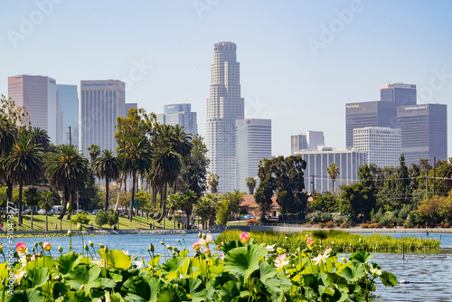 Canvas Print Sunny view of the Los Angeles downtown and Lotus blossom