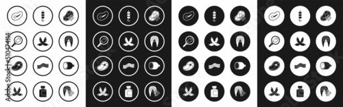 Set Fresh frozen steak meat, Crossed sausage, Steak in frying pan, Fish, Grilled shish kebab on skewer stick, Salami and icon. Vector