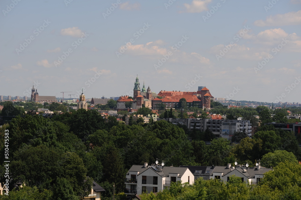 Wawel, zamek, Kraków, Polska, 