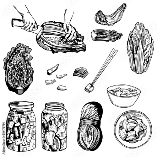 Kimchi. Korean cuisine. Sketch illustration.