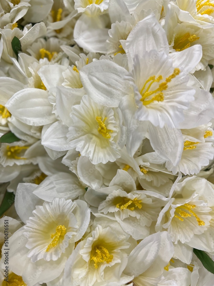 White flower White flower