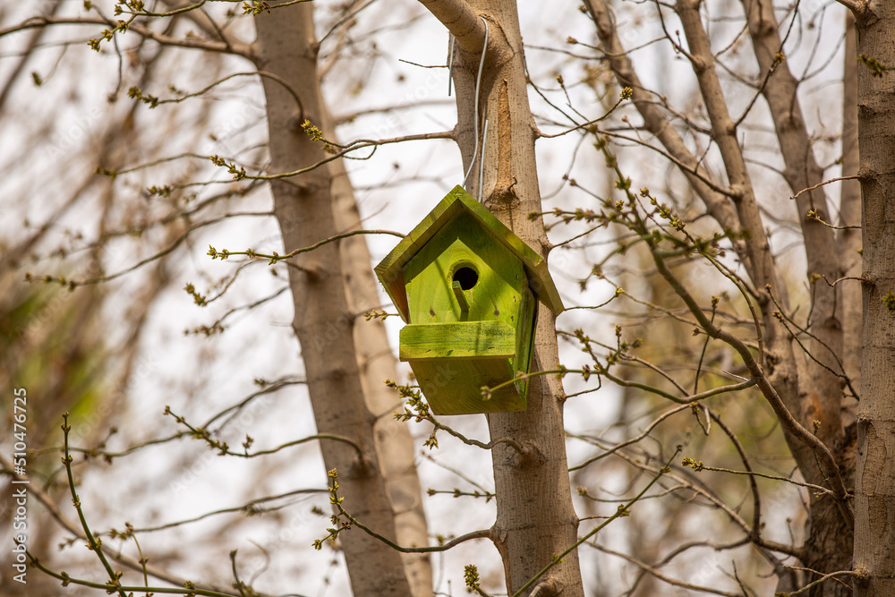 Green wooden birdhouse hanging on the tree Green wooden birdhouse hanging on the tree