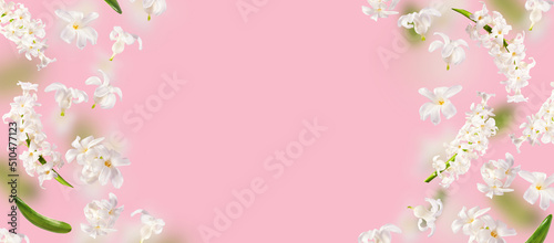 A beautiful picture with white hyacinth flowers flying in the air on the pink background. Levitation concept. Floating petals. Greeting card with wedding, women's day, mother's day. Banner