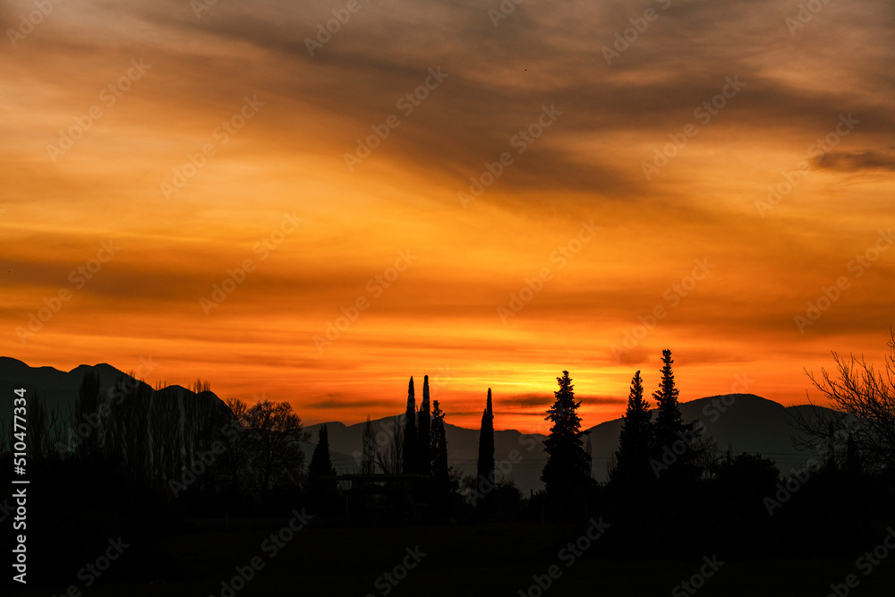 Sunset with rows of trees and mountain view