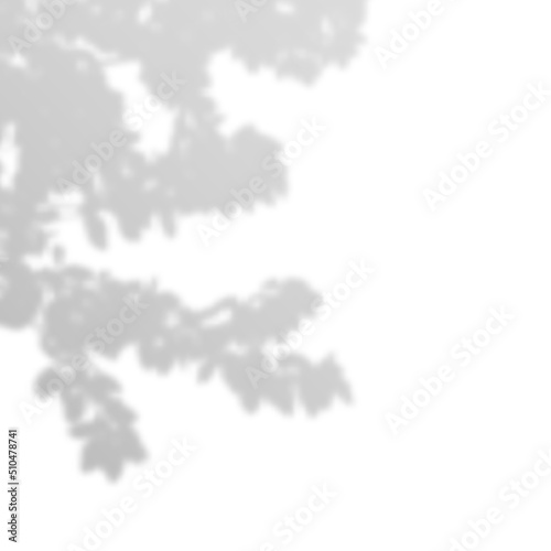 Realistic Vector transparent overlay blurred shadow of branch leaves. Design Element for Presentations and Mockups. Overlay Effect of Tree Shadow.