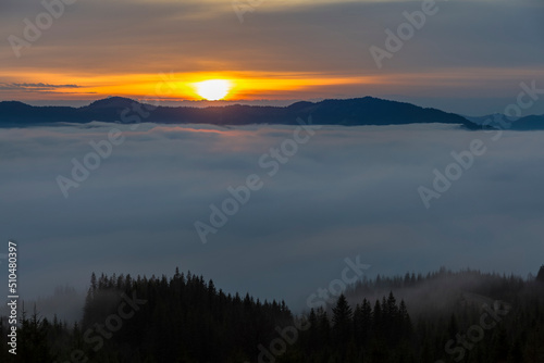 Forests and valleys in the clouds during sunrise in the mountains, Carpathians, Smotrych