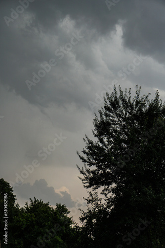 Trees against the backdrop of storm clouds. Photo background