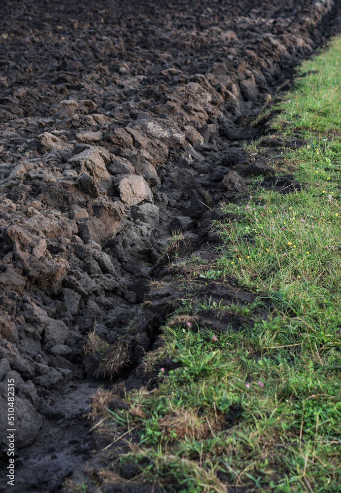 Plowed agricultural field for sowing. The process of preparing the soil before planting cereals, legumes, nightshade crops. Farming and food industry Plowed agricultural field for sowing. The process of preparing the soil before planting cereals, legumes, nightshade crops. Farming and food industry