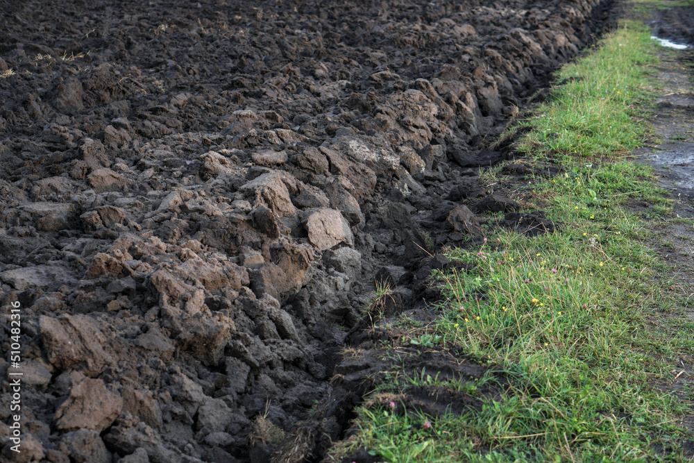 Plowed agricultural field for sowing. The process of preparing the soil before planting cereals, legumes, nightshade crops. Farming and food industry Plowed agricultural field for sowing. The process of preparing the soil before planting cereals, legumes, nightshade crops. Farming and food industry