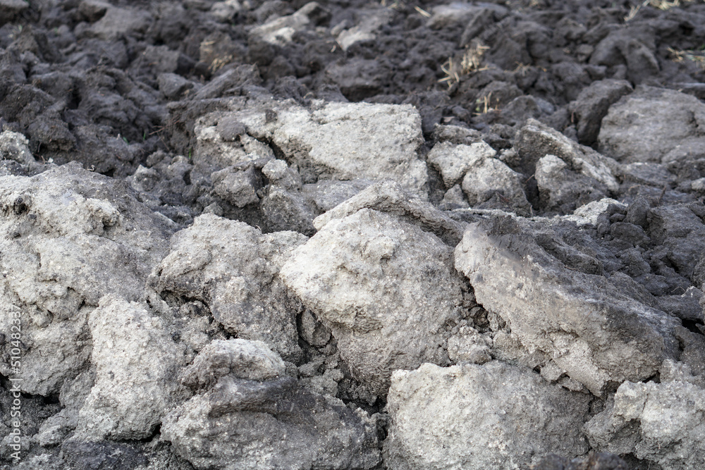 Plowed agricultural field close up for sowing. The process of preparing the soil before planting cereals, legumes, nightshade crops. Farming and food industry