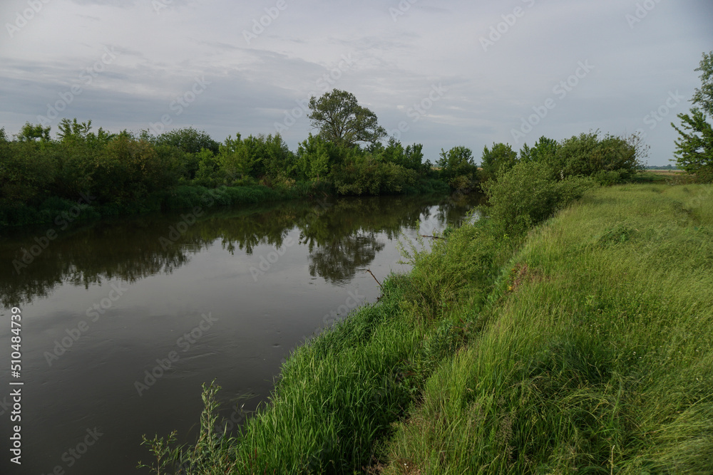 Fototapeta premium Evening landscape with the last rays of the sun. Morning by the river in summer. Beautiful nature, photo for design