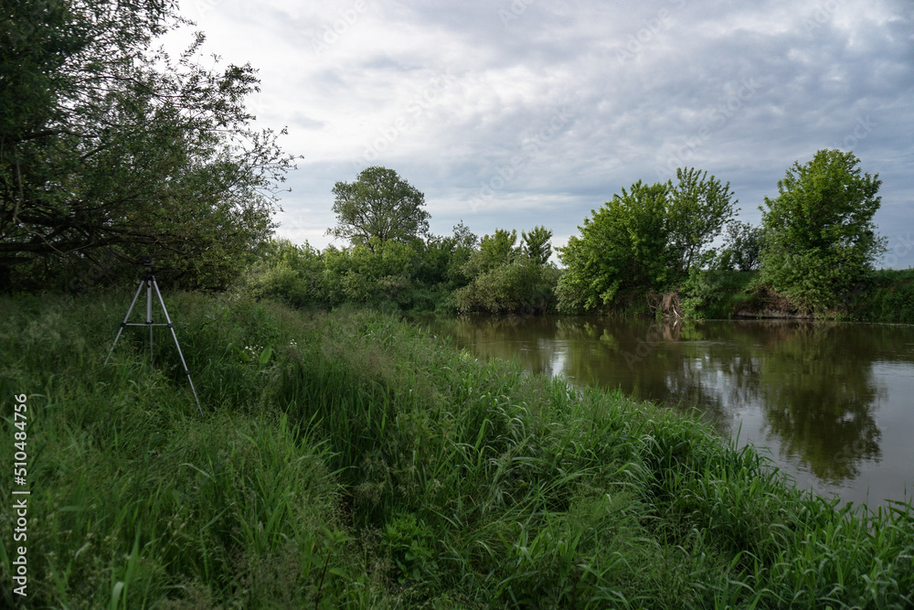 Obraz premium Evening landscape with the last rays of the sun. Morning by the river in summer. Beautiful nature, photo for design