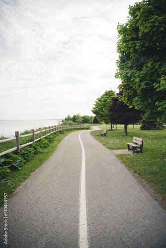 road in the countryside in a public park in the summer