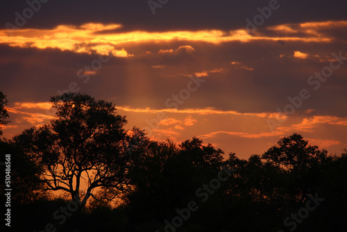 Sonnenuntergang - Krüger Park Südafrika / Sundown - Kruger Park South Africa /