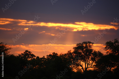 Sonnenuntergang - Krüger Park Südafrika / Sundown - Kruger Park South Africa /