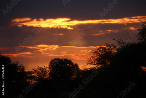 Sonnenuntergang - Krüger Park Südafrika / Sundown - Kruger Park South Africa /