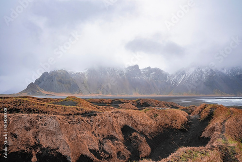 View of grass on shore of black sand beach. Scenic view of Stokksnes cape and Vestrahorn Mountain. Beautiful scenery of famous tourist attraction during foggy weather.