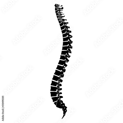 Skeleton Human Vertebral column silhouette spine body bones - sacrum, vertebrae, coccyx side lateral view flat black color concept Vector illustration of anatomy isolated on white background