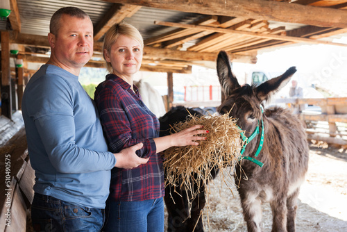 Fotografering Portrait of positive family couple feeding donkeys on farm in sunny day
