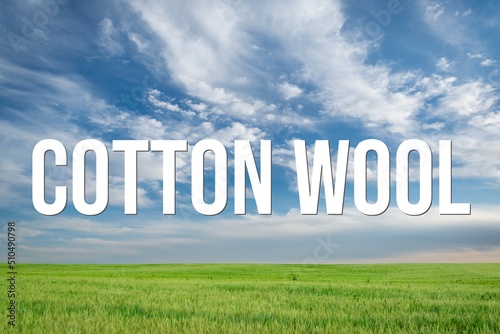 COTTON WOOL - word on the background of the sky with clouds.