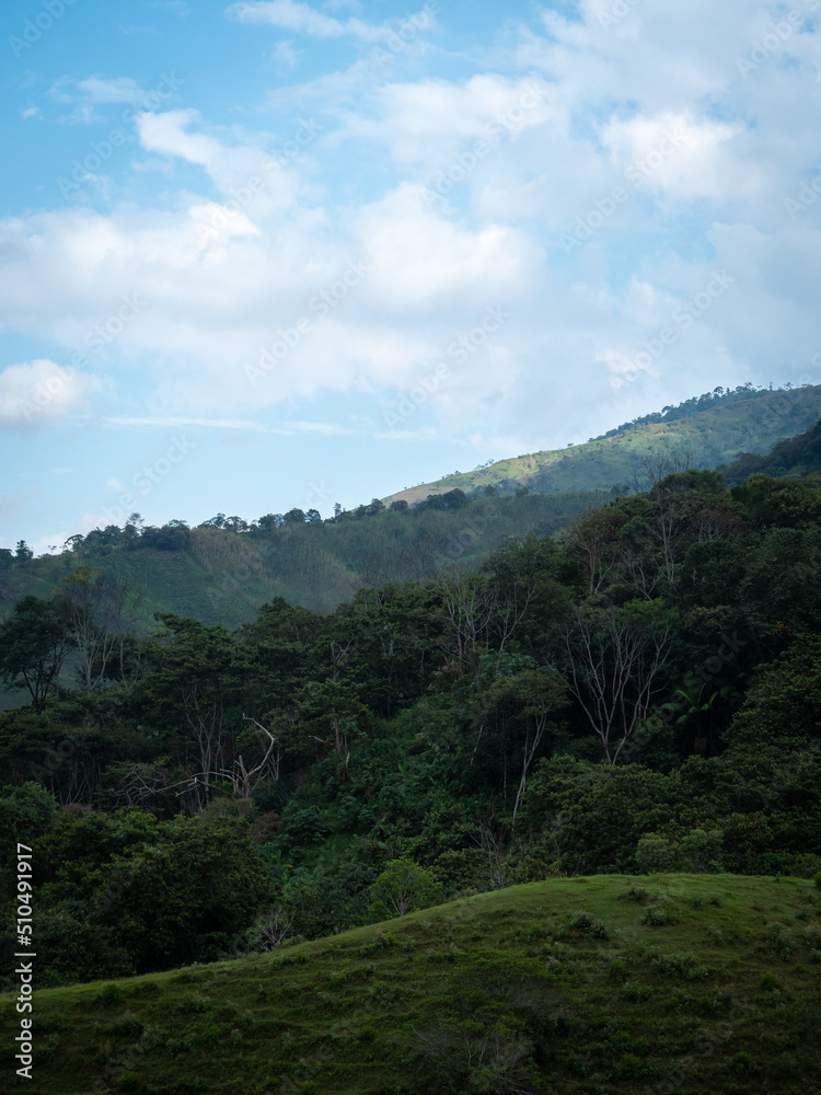 Mountains Covered with Plants and Trees in a Cloudy Day Mountains Covered with Plants and Trees in a Cloudy Day