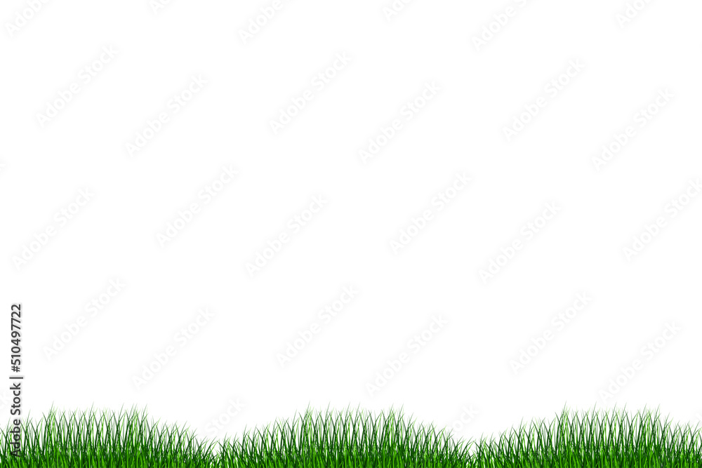 green grass for banner design. Green summer grass watercolor background. Floral pattern element. Vector illustration. Stock image. green grass for banner design. Green summer grass watercolor background. Floral pattern element. Vector illustration. Stock image.