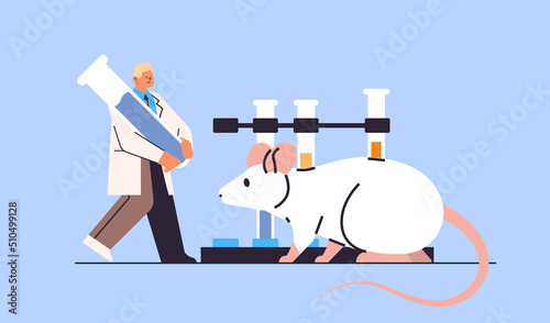 scientist doing experiments in lab with animal veterinary worker with experimental rat biological genetic engineering research