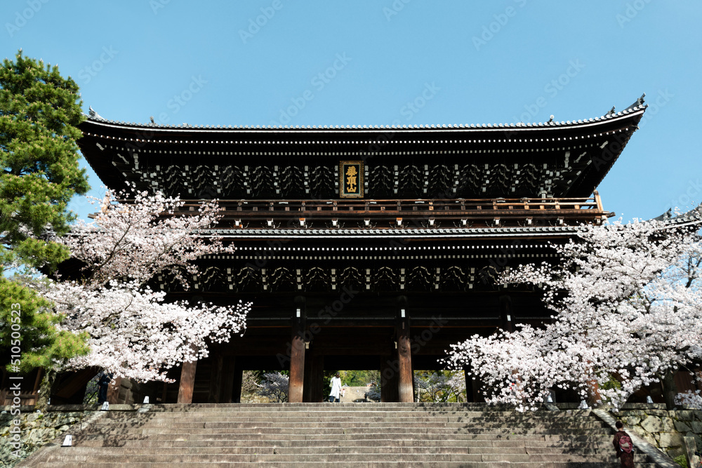 知恩院 三門と桜 Stock Photo | Adobe Stock