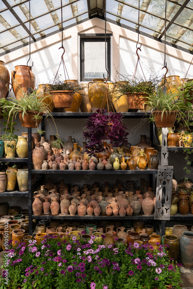 Many unique handmade colorful clay jugs and vases of various shapes on shelf, blooming flowers and hanging plants in local market with glass roff in sunlight. Lot of handicraft ceramic pots. 