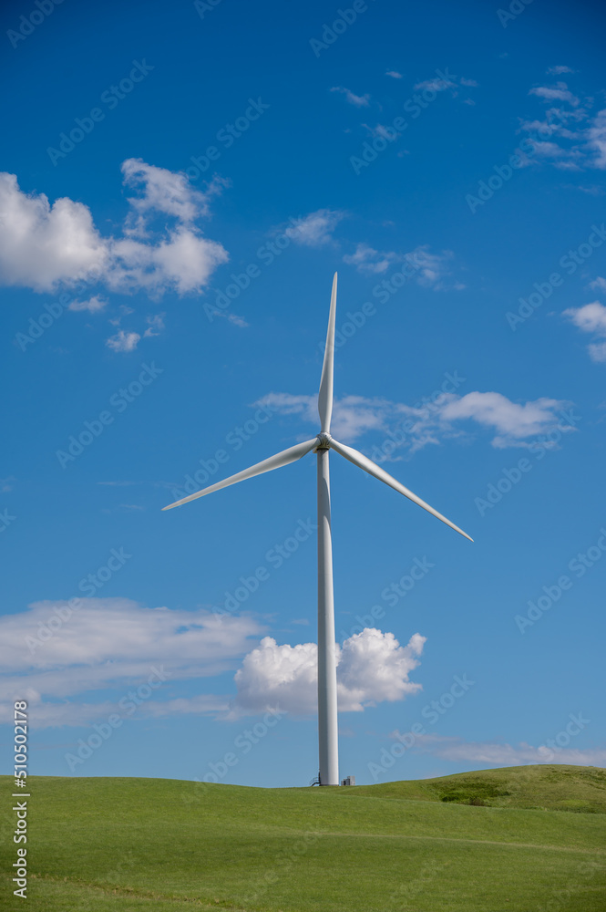Wintering Hills wind park in central Alberta close to Drumheller. Wintering Hills wind park in central Alberta close to Drumheller.