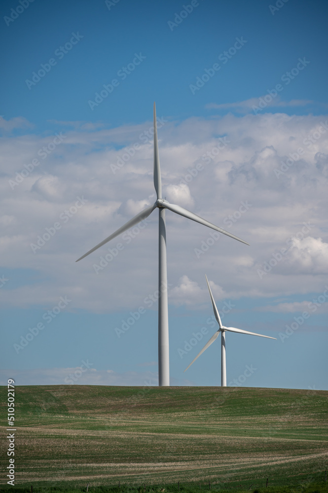 Fototapeta premium Wintering Hills wind park in central Alberta close to Drumheller.