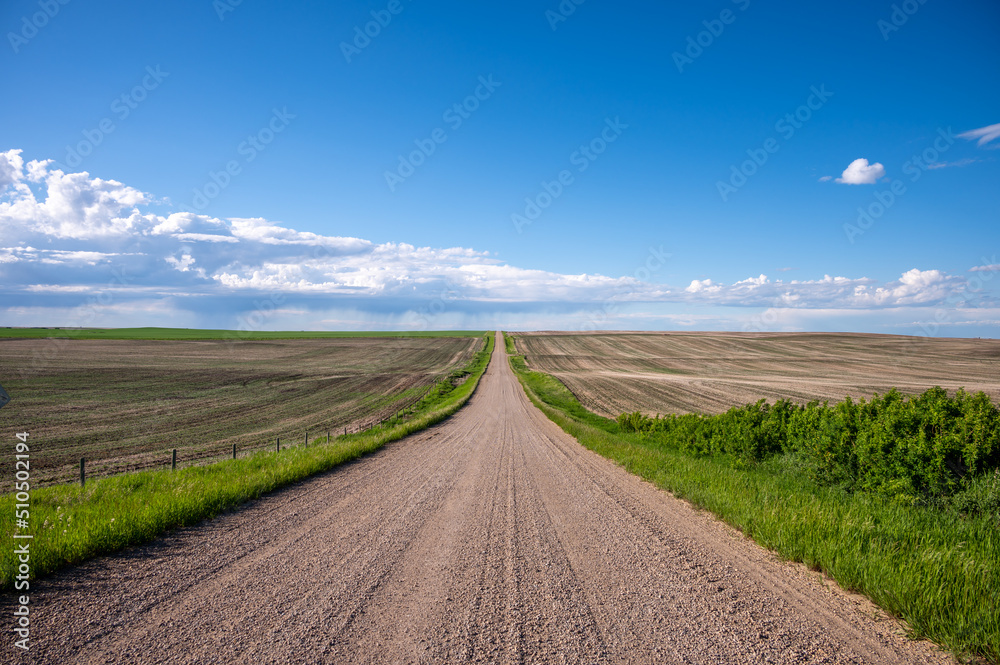 Fototapeta premium Lonley prairie road leading off into the distance with summer rain clouds.