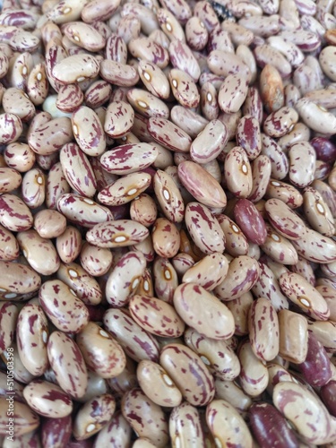 Wallpaper Mural Beans and grains background Torontodigital.ca