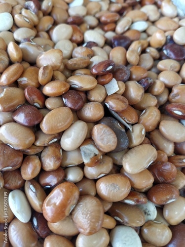 Wallpaper Mural Beans and grains background Torontodigital.ca