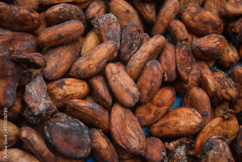 Pile of Cocoa Beans