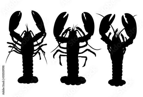 Lobster. Illustrations isolated on a white background
