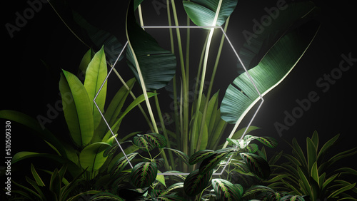 White Neon Light with Tropical Leaves. Hexagon shaped Fluorescent Frame in Nature Environment.