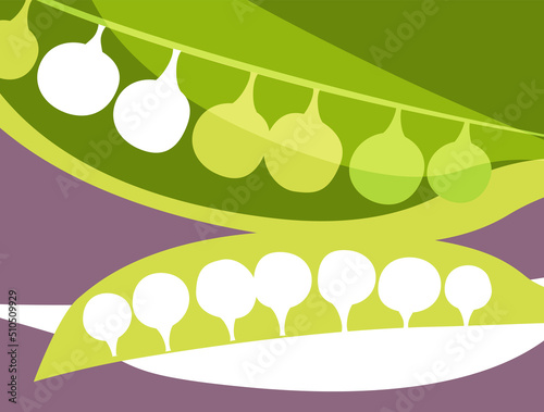 Abstract vegetable design in flat cut out style. Green peas in a pod silhouette and cross section. Vector illustration.