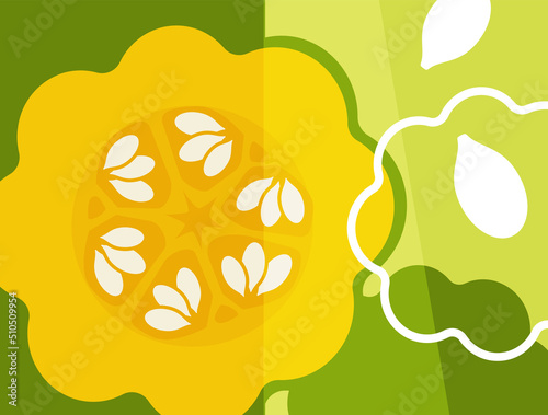 Abstract vegetable design in flat cut out style. Acorn squash cross section and seeds. Vector illustration.